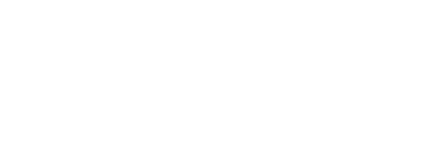 verzion-1